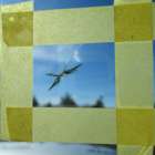 ウインドーリペア出張施工　10月　大垣市にて　配送業　大型貨物車。